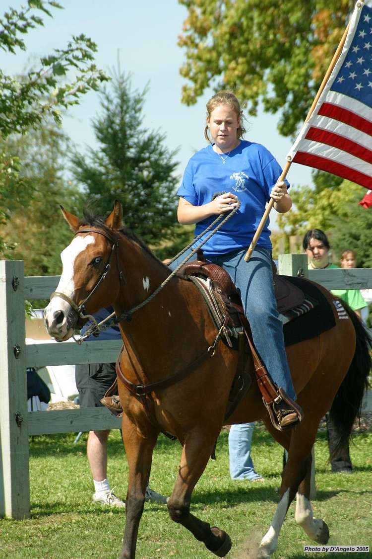 Open Barn 2005