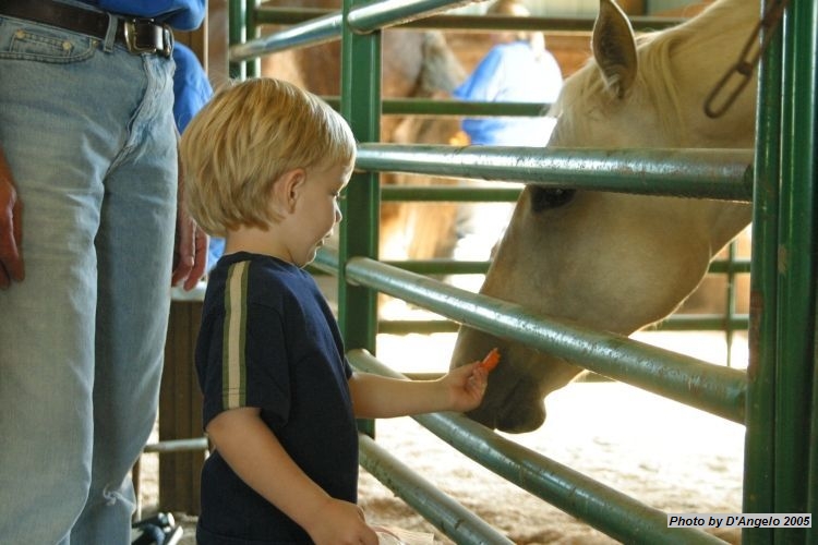 Open Barn 2005