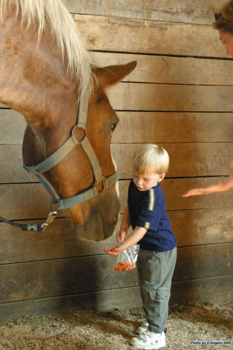 Open Barn 2005