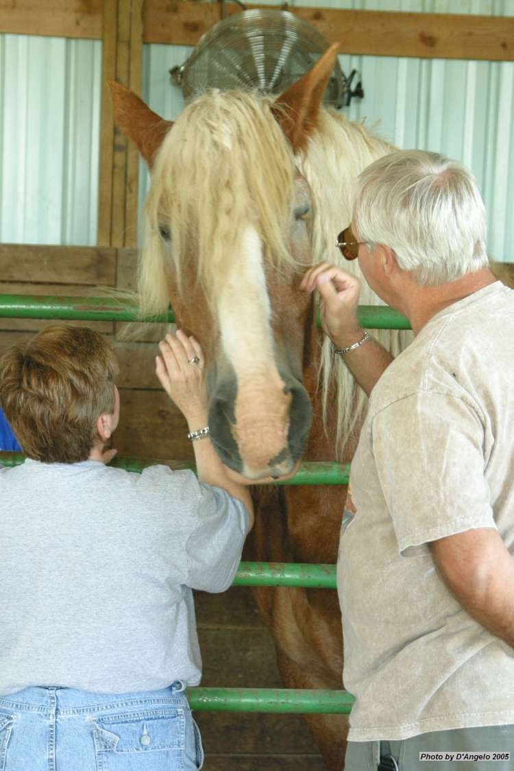 Open Barn 2005