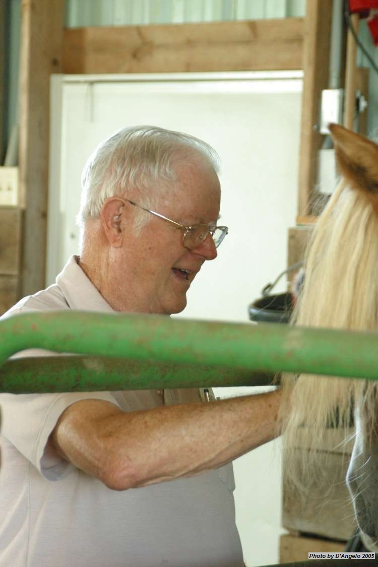 Open Barn 2005