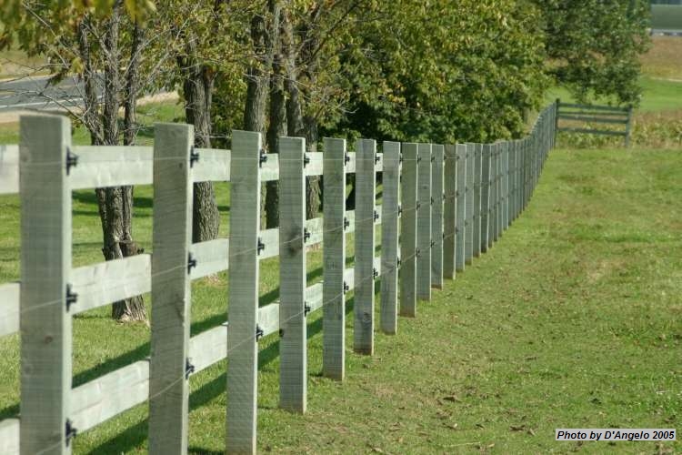 Open Barn 2005