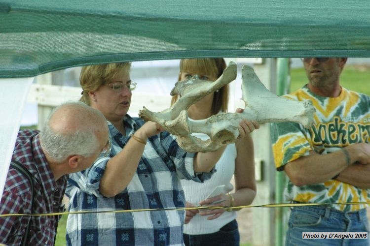 Open Barn 2005