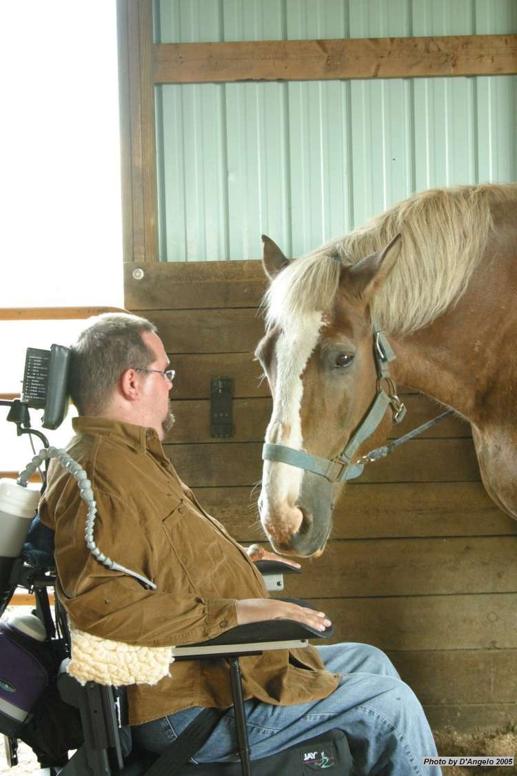 Open Barn 2005