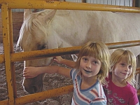 A Little Girl and A Little Horse