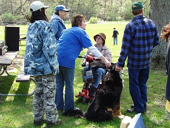 3rd Annual Walk for Refuge