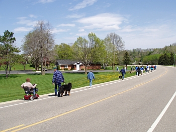 3rd Annual Walk for Refuge