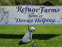 3rd Annual Walk for Refuge