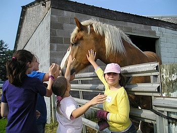 Having Fun at THE FARM