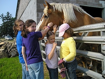 Having Fun at THE FARM