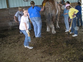 Having Fun at THE FARM