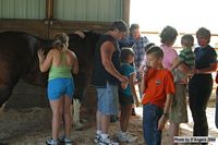 Open Barn 2004