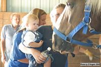 Open Barn 2004