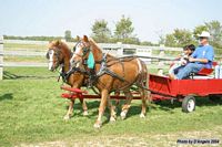 Open Barn 2004