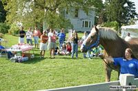 Open Barn 2004