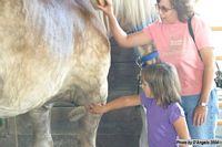 Open Barn 2004