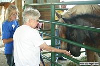 Open Barn 2004