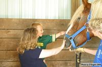 Open Barn 2004