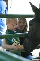 Open Barn 2004