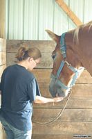 Open Barn 2004