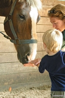 Open Barn 2005