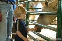 Open Barn 2005