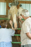 Open Barn 2005