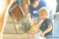 Open Barn 2005