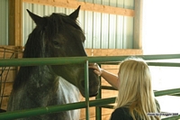 Open Barn 2005