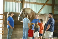 Open Barn 2005