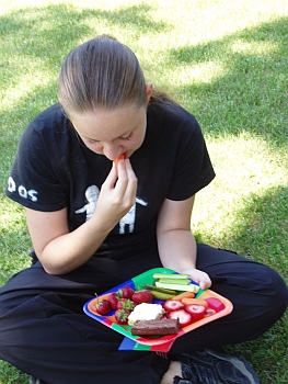 Volunteer Picnic