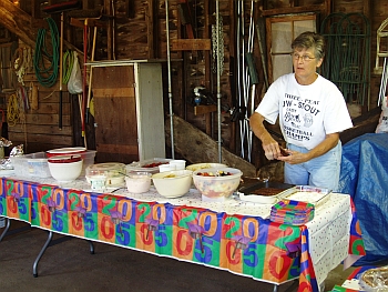 Volunteer Picnic